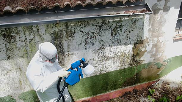 Trusted Mold Remediation service in Upper Falls, MD - Cheap Mold Removal